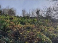 Продается земельный участок в пригороде Батуми, Грузия. Вид на море и горы. Фото 5