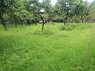 Участок в тихом районе с мандариновым садом в тихом районе Цинсвла, Батуми, Грузия. Фото 2