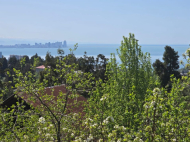 Продается частный дом у моря в Букнари, Грузия. Вид на море. Фото 7