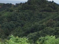 Land parcel, Ground area for sale at the seaside of Makhinjauri, Georgia. Land with sea view. Photo 5