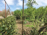 House for sale with a plot of land in Lanchkhuti, Georgia. Photo 5