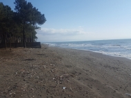 Land parcel, A plot of land for sale at the seaside of Grigoleti, Georgia. Photo 3