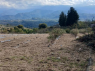 House for sale with a plot of land in the suburbs of Ozurgeti, Georgia. Near the river. Working business. Photo 17