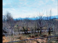 House for sale with a plot of land in the suburbs of Ozurgeti, Georgia. Photo 8