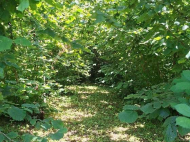 Купить дом с земельным участком в пригороде Сенаки, Грузия. Фото 7