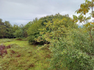 House for sale with a plot of land in the suburbs of Ozurgeti, Georgia. Photo 11