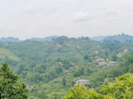 House for sale with a plot of land in the suburbs of Ozurgeti, Georgia. Tangerine garden, Orchard. Walnut garden. Photo 10