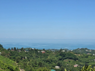 გასაყიდი კერძო სახლი ზღვასთან ჩაქვში, საქართველო.  ფოტო 9