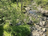 House for sale with a plot of land in the suburbs of Batumi, Georgia. Near the river. Photo 2