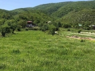 Продается земельный участок в пригороде Тбилиси, Натахтари. Фото 5