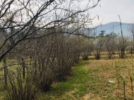 Land parcel, Ground area for sale in the suburbs of Batumi, Georgia. Photo 2