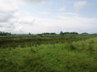 Land parcel, Ground area for sale in Natanebi, Georgia. Photo 1