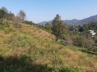 Продажа земельного участка на вершине Тхилнари, Аджария, Грузия. Фото 8