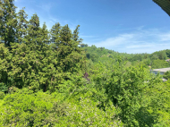 Продается частный дом с земельным участком в Натанеби, Грузия.  Фото 15