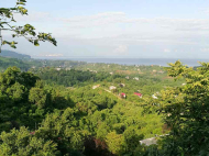 Land parcel, Ground area for sale in a resort district of Chakvi, Georgia. Tangerine garden. Photo 1