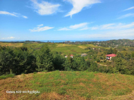 იყიდება მიწის ნაკვეთი სახალვაშო, საქართველო. ფოტო 2