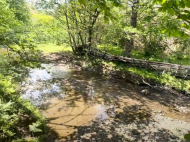 House for sale with a plot of land in the suburbs of Ozurgeti, Georgia. Near the river. Photo 7