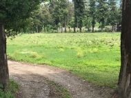 Land for sale near the sea in Gonio, Georgia. Photo 1