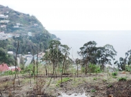 Ground area for sale at the seaside of Kvariati, Georgia. Sea view. Photo 1