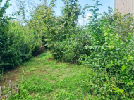 Купить частный дом с земельным участком в Натанеби, Грузия. Фото 23