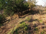 Продается земельный участок в пригороде Батуми, Грузия. Вид на море и горы. Фото 7