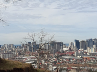 Продажа земельного участка в Урехи, Аджария, Грузия. Фото 6