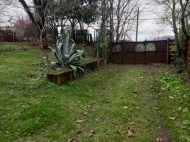 ყიდვა კერძო სახლის მიწის ნაკვეთით ზესტაფონი, საქართველო. ხილის ბაღი. ვენახი. ფოტო 11