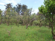 Ground area for sale in Batumi, Georgia. Land with sea and mountains view. Photo 6