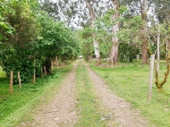 Land for sale in Gonio, Adjara, Georgia. Photo 5