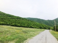 Land parcel, Ground area for sale in the suburbs of Kvareli, Georgia. Photo 1