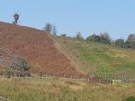 Земельный участок для фермы в Ланчхути, Грузия. Фото 6