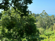 Участок с видом на море и горы в Цихисдзири, Аджария, Грузия. Фото 5