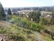 Land plots for sale in Keda district Adjara Georgia Photo 2