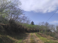 Ground area for sale in Bobokvati, Georgia. Photo 2