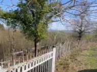 House for sale with a plot of land in the suburbs of Ozurgeti, Georgia. Photo 7