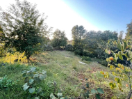 Купить частный дом в курортном районе Сахалвашо, Грузия. У реки. Фото 19