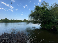 Купить земельный участок в пригороде Поти, Грузия. У реки. Фото 6