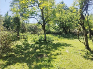 House for sale with a plot of land in Ozurgeti, Georgia. Orchard. Walnut garden. Natural spring. Photo 10