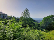 Land parcel, Ground area for sale in Sakhalvasho, Georgia. The project has a construction permit. Photo 4