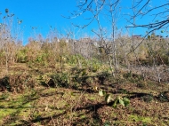 Участок на продажу в Ахалшени. Купить земельный участок с видом на горы в Ахалшени, Батуми, Грузия. Фото 1