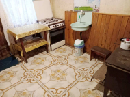 Купить частный дом в курортном районе Озургети, Грузия. Фруктовый сад. Ореховый сад. Фото 7