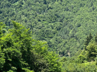 Земельный участок на берегу реки в Кеда, Аджария, Грузия. Продается участок с видом на горы. Фото 4