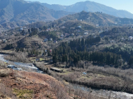 Купить частный дом с земельным участком в пригороде Батуми, Грузия. Фото 12