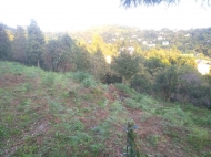 In the surroundings of Batumi, the land plot is sold Photo 10