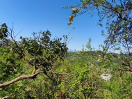 Продается земельный участок у моря. Букнари, Грузия. Участок с видом на море. Фото 4