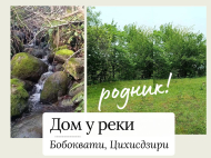 იყიდება კერძო სახლი მიწის ნაკვეთით ბობოყვათი, საქართველო. ბუნებრივი წყარო. მდინარესთან. ზღვის ხედებით. ფოტო 1