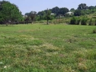 Land parcel, Ground area for sale with a farm in the suburbs of Kutaisi, Georgia. Working business. Photo 8