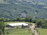 House for sale with a plot of land in the suburbs of Tbilisi, Georgia. Photo 1
