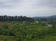 Ground area (A plot of land) for sale in a quiet district of Chakvi, Georgia. Sea view. Photo 1