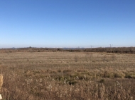 Ground area ( A plot of land ) for sale in Natanebi, Ozurgeti, Georgia.  Land with mountains view.     Photo 2